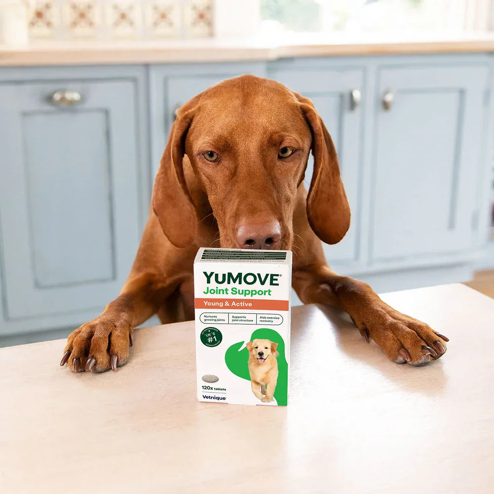 Joint Support for Young & Active Dogs