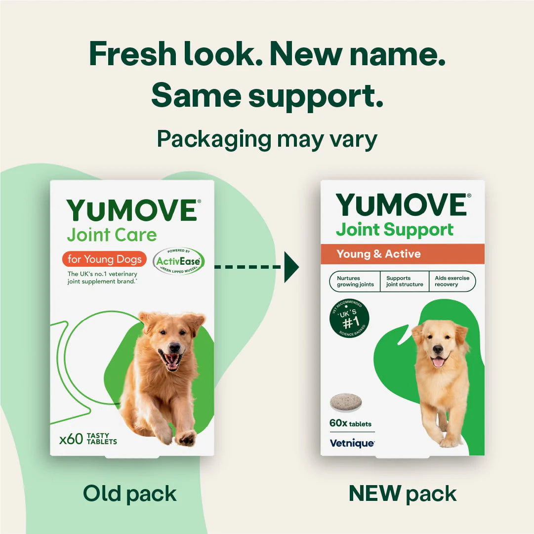 Joint Support for Young & Active Dogs