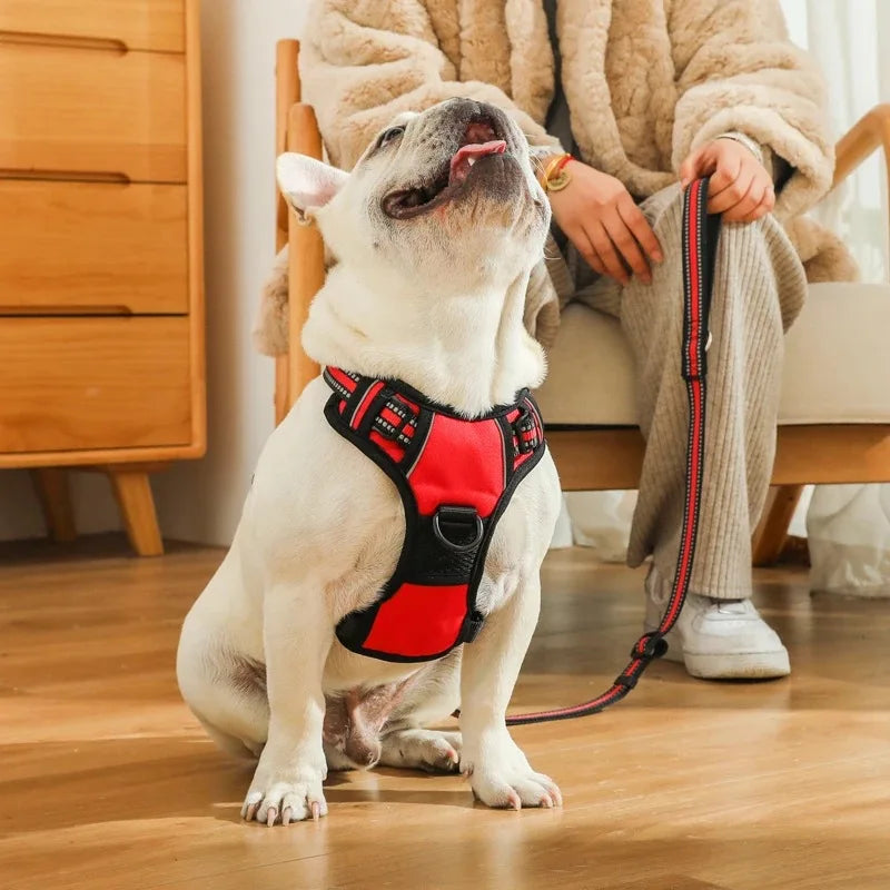Reflective Adjustable Dog Harness - Breathable Vest for Small, Medium, and Large Dogs and Cats with Collar Accessories