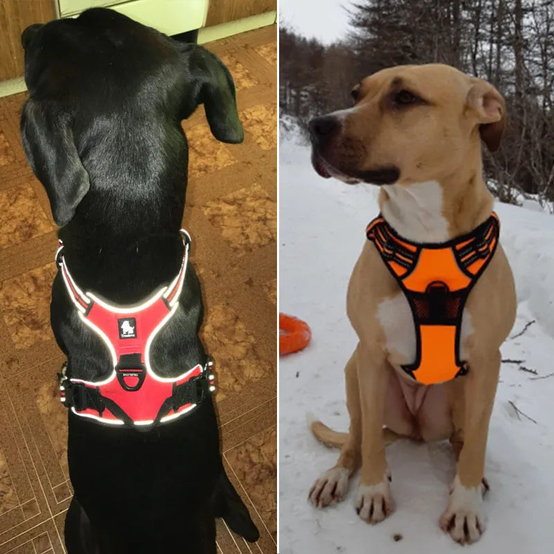 Durable Reflective Dog Harness for Small to Large Breeds - Ideal for Safe Walking, Running, and Travel